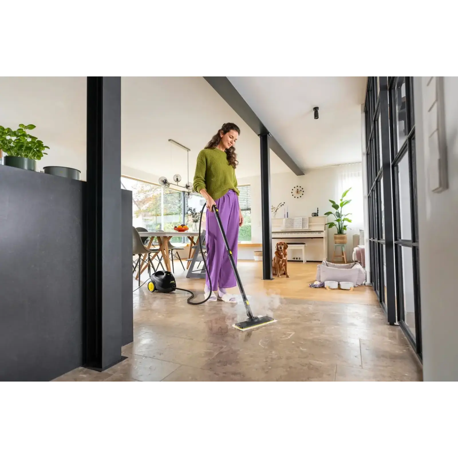 Пароочиститель Karcher SC 3 EasyFix Go!Further (1.513-665.0) UA