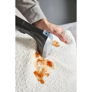 Миючий пилосос-плямовивідник Rowenta Clean It Hot & Cold IN7021F0 UA