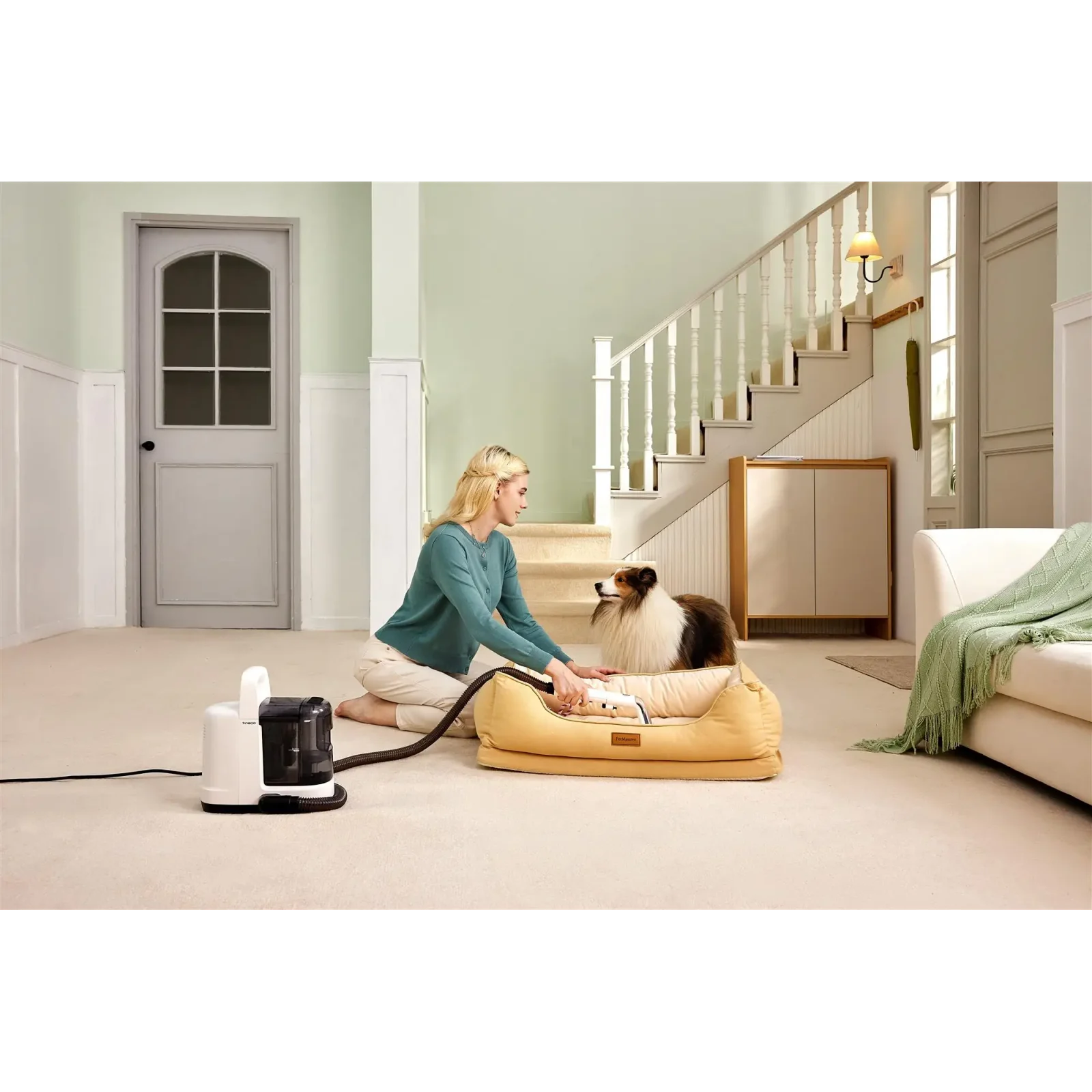 Моющий пылесос Tineco iCarpet Spot (SC050300DE) UA