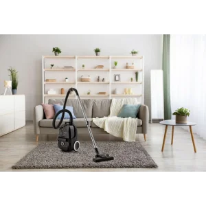 Пылесос Gorenje VCE01G4AEBK UA