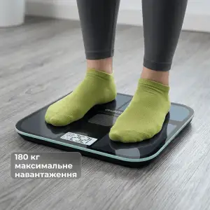 Весы напольные RENPHO Elis Solar 2 Smart Body Scale Black (R-A020-BK) UA