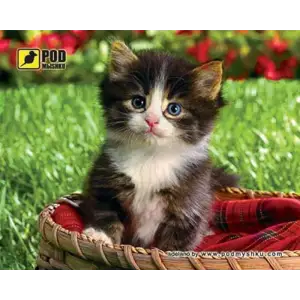 Килимок для миші Podmyshku Кошеня в кошику UA