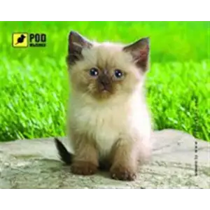 Коврик для мыши Podmyshku Сиамский котик (0101073) UA
