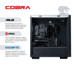 Персональний комп'ютер COBRA Gaming (A76.64.S5.46T.17437) UA