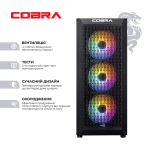 Персональный компьютер COBRA Gaming (A75F.64.S10.47TS.19124W) UA