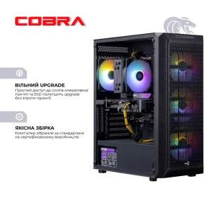 Персональный компьютер COBRA Gaming (A75F.64.S10.47TS.19124W) UA