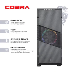 Персональный компьютер COBRA Advanced (A55.16.S4.166S.13152) UA