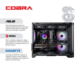 Персональный компьютер COBRA Gaming (A98X3D.64.S20.57T.21793) UA