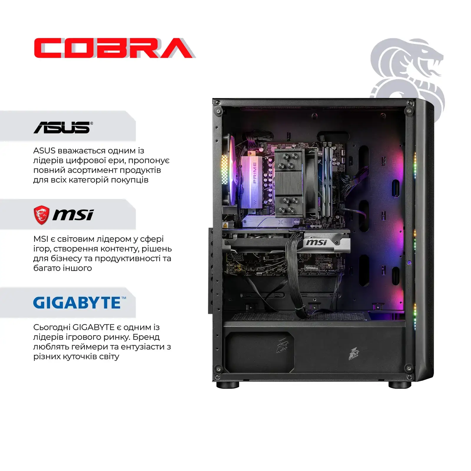 Персональный компьютер COBRA Advanced (I134F.16.S5.96XT.23816) UA