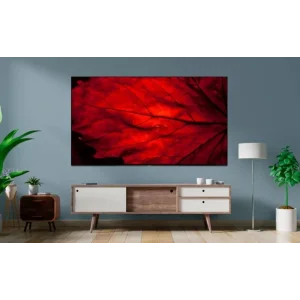 Телевізор Aiwa LED-508UHD UA