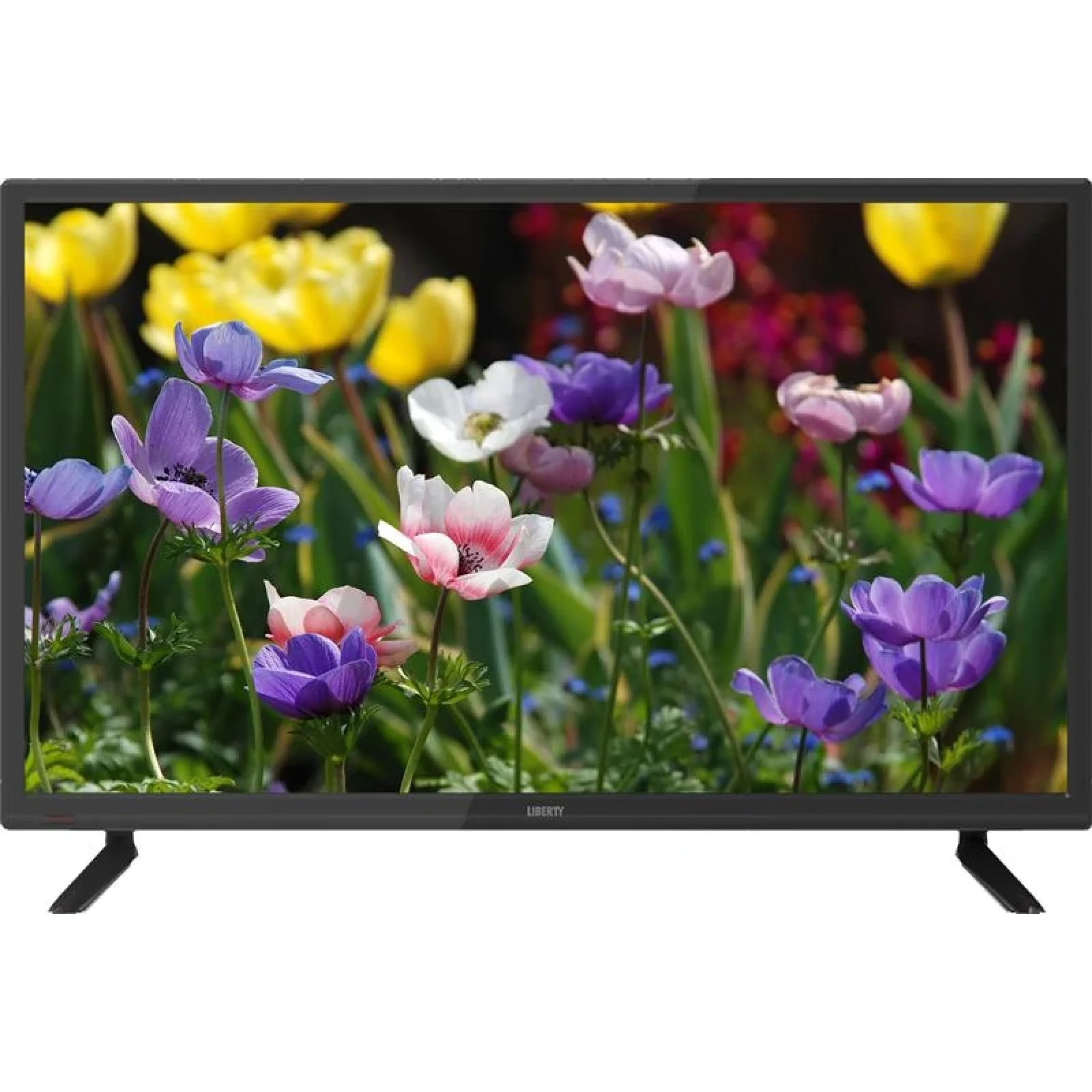 Телевизор Liberty LD-2419 UA