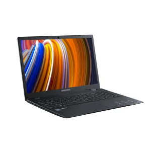 Ноутбук Prologix M15-710 (PN15E01.CN48S2NU.001) UA