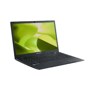 Ноутбук Prologix M15-710 (PN15E01.PN58S2NW.007) UA