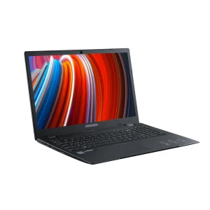 Ноутбук Prologix M15-710 (PN15E01.PN58S2NWP.012) UA