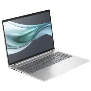 Ноутбук HP EliteBook 665 G11 (8Z715AV_V3) Silver UA