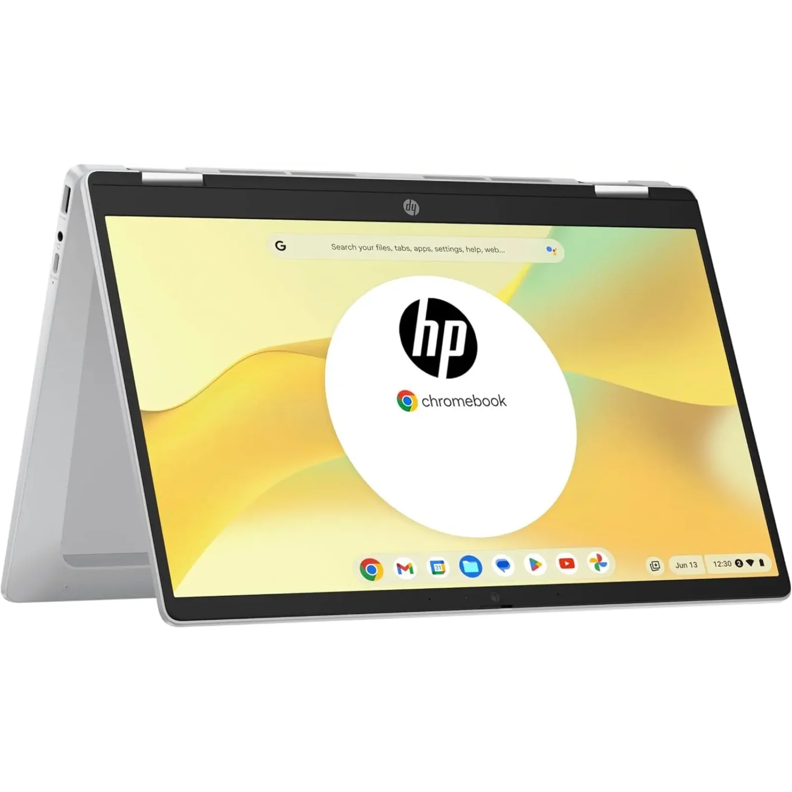 Ноутбук HP Chromebook x360 (198828598608) UA