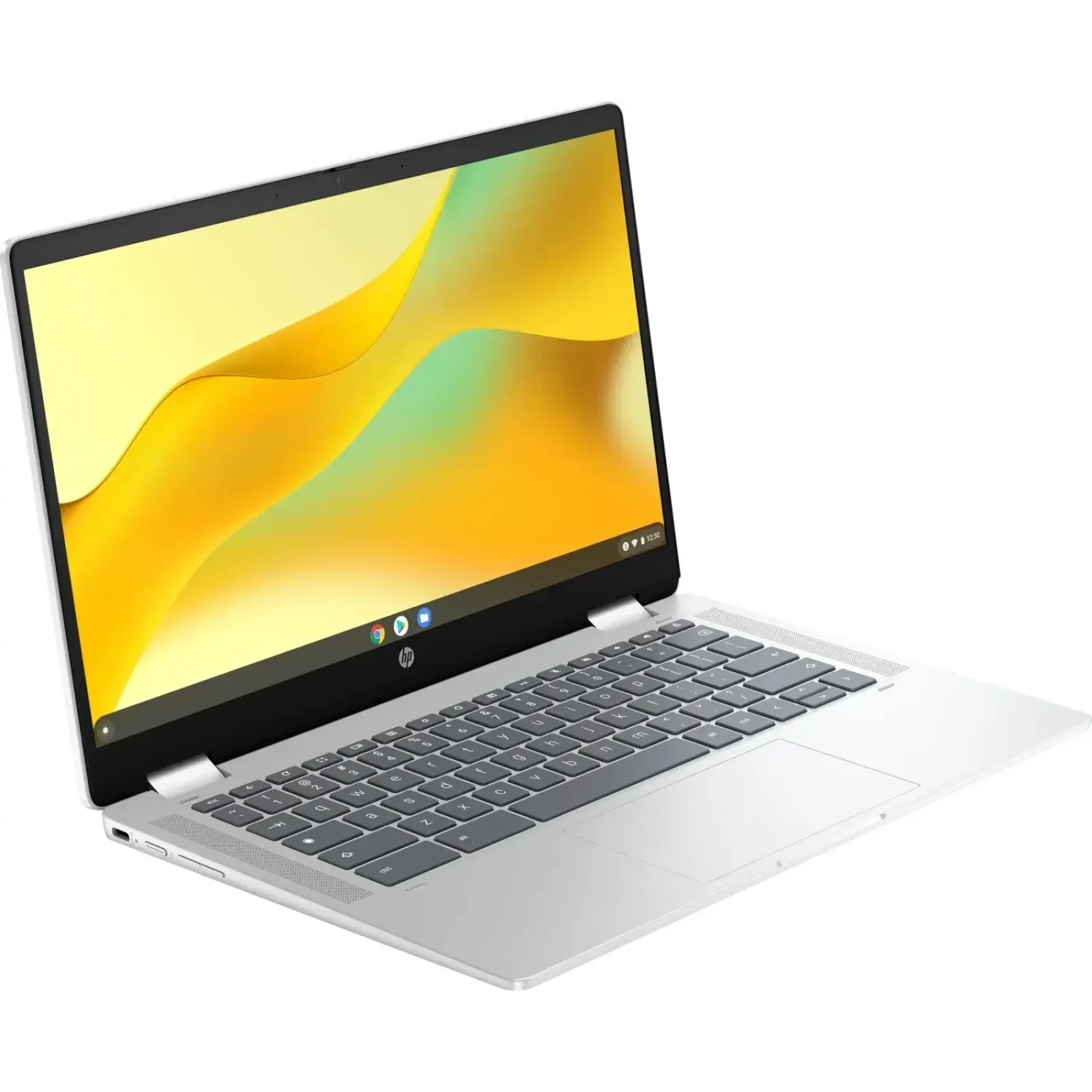 Ноутбук HP Chromebook x360 (198828598608) UA