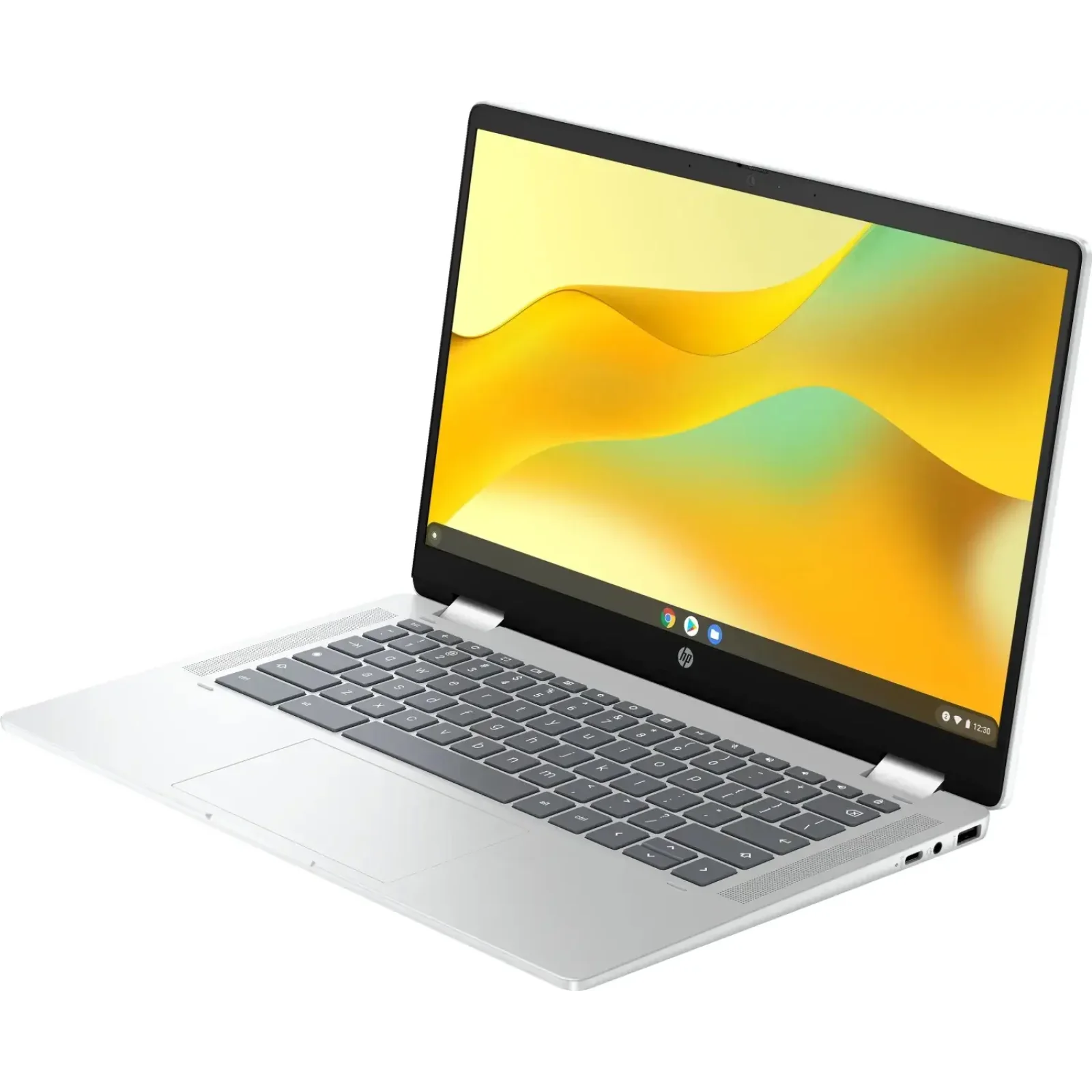 Ноутбук HP Chromebook x360 (198828598608) UA