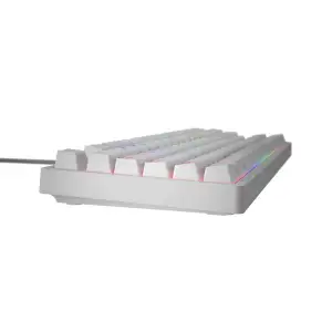 Клавіатура Hator Rockfall 2 Optica TKL Black White (HTK-731) UA