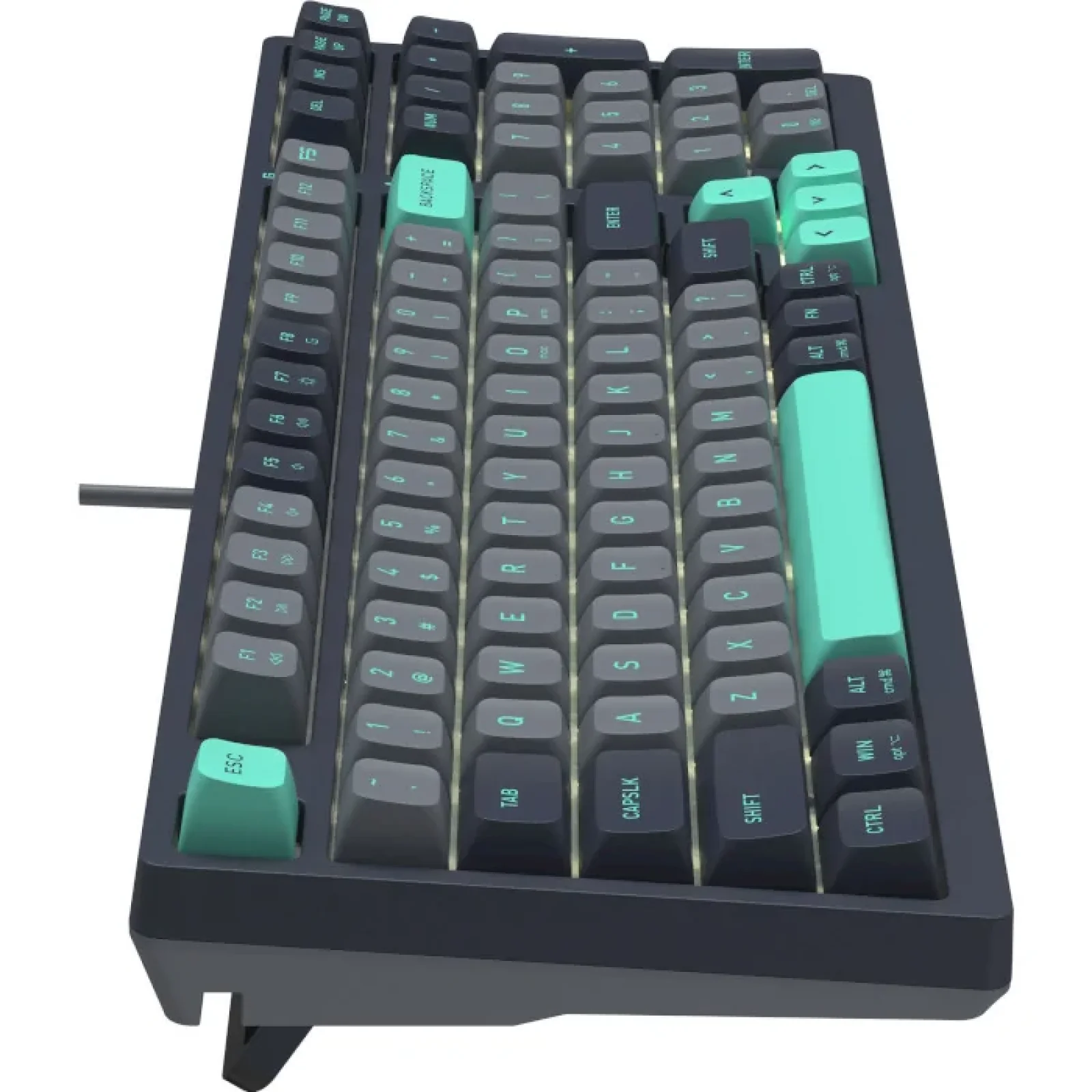 Клавіатура A4Tech Fstyler FS300 Panda Rock Climbing, FS300 (Panda Rock Climbing) UA