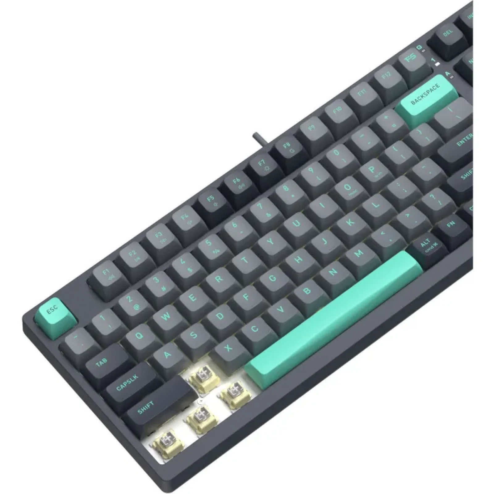 Клавіатура A4Tech Fstyler FS300 Panda Rock Climbing, FS300 (Panda Rock Climbing) UA