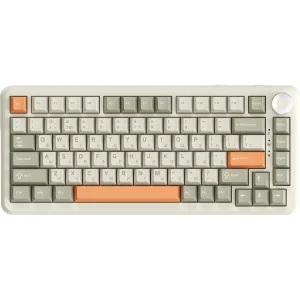 Клавиатура беспроводная Ajazz AK820 Max Flying Fish Switch Retro Colour (AK820MAX-FF-R) UA