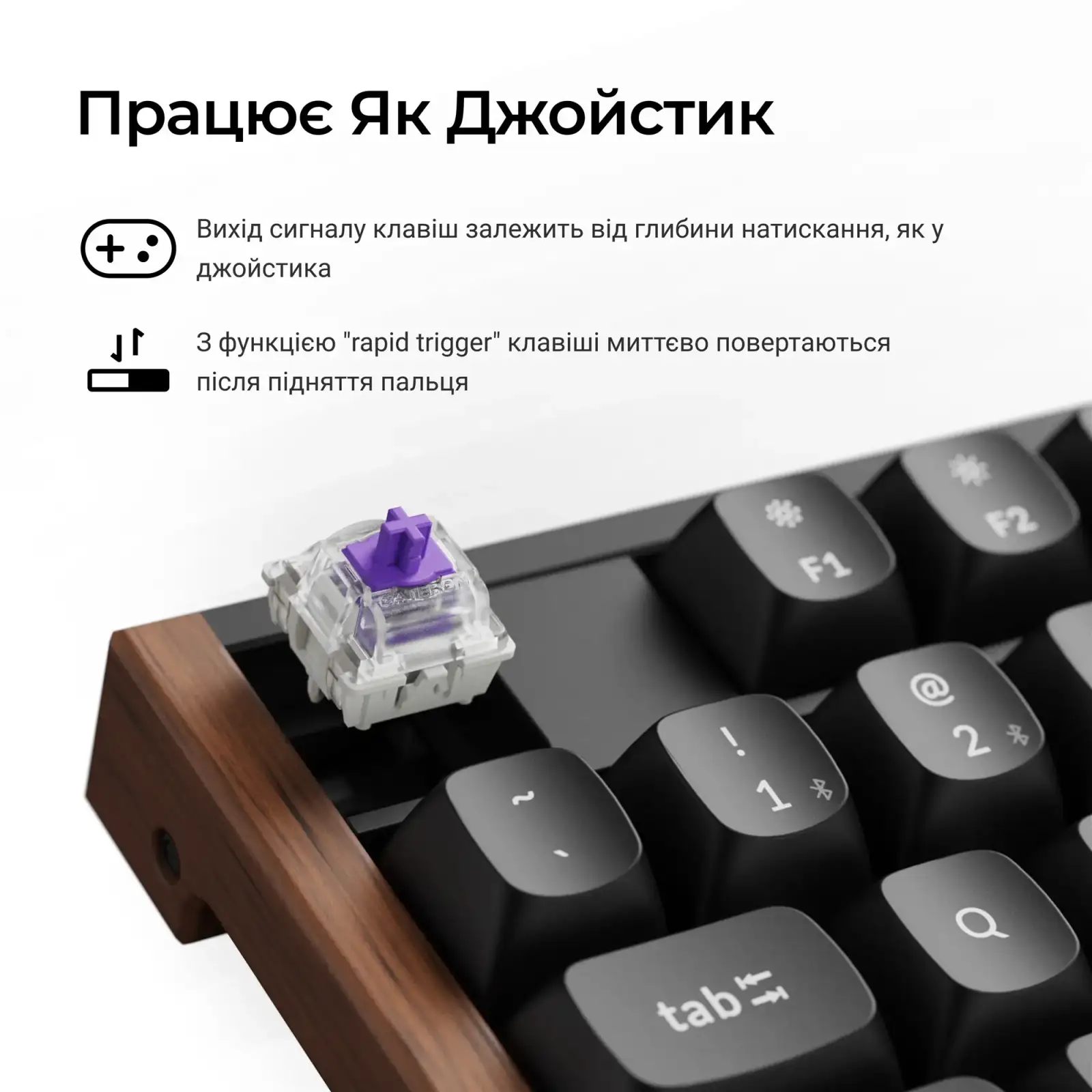 Клавиатура беспроводная Keychron K10 HE Magnetic Switch Black RGB (K10H-F1-UA) UA