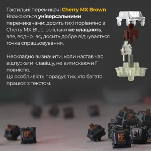 Клавиатура Ducky One 3 TKL Cherry MX Brown UA USB Matcha Cream (DKON2187-BUAPXМAEGGC1) UA