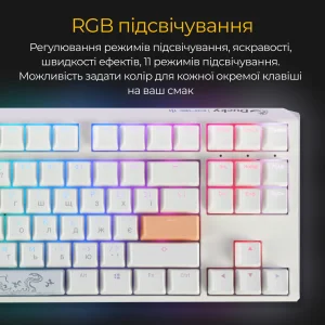 Клавиатура Ducky One 3 TKL Cherry MX Speed Silver RGB UA USB White (DKON2187ST-PUAPXPWWWSC1) UA