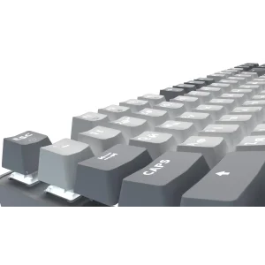 Клавіатура GamePro Genesis Metallic MK110G Outemu Red Swithes USB Gray UA