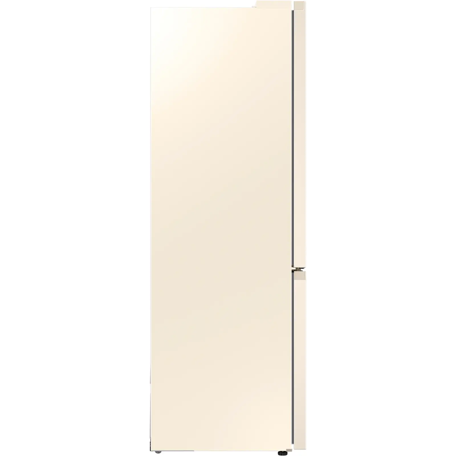 Холодильник Samsung RB36T674FEL/UA UA