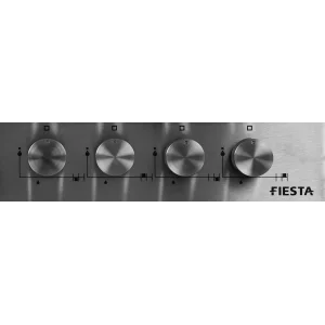 Варильна поверхня Fiesta G64IXCH SBF R UA