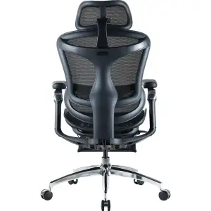Крісло офісне Sihoo Doro C300 Pro Mesh Black with footrest (Doro-C300-Pro-M101-JT) UA