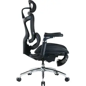 Крісло офісне Sihoo Doro C300 Pro Mesh Black with footrest (Doro-C300-Pro-M101-JT) UA