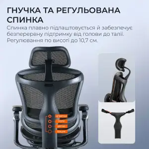 Крісло офісне Sihoo Doro C300 Pro Mesh Black with footrest (Doro-C300-Pro-M101-JT) UA