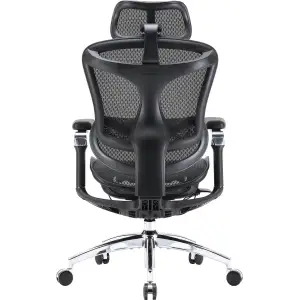 Крісло офісне Sihoo Doro C300 Pro Mesh Black (DORO-C300-PRO-M101) UA