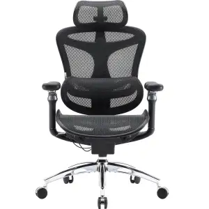 Крісло офісне Sihoo Doro C300 Pro Mesh Black (DORO-C300-PRO-M101) UA