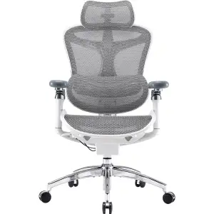 Кресло офисное Sihoo Doro C300 Pro Mesh White (DORO-C300-PRO-M102) UA