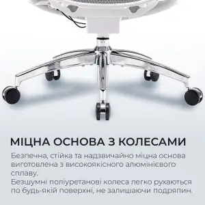Крісло офісне Sihoo Doro C300 Pro Mesh White (DORO-C300-PRO-M102) UA