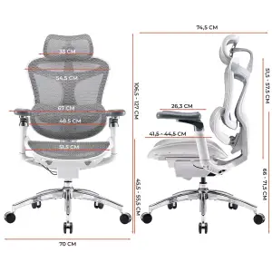 Крісло офісне Sihoo Doro C300 Pro Mesh White (DORO-C300-PRO-M102) UA