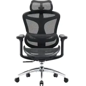 Крісло офісне Sihoo Doro C300L Mesh Black (DORO-C300L-A3-101) UA