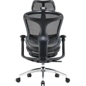 Кресло офисное Sihoo Doro C300L Mesh Black (DORO-C300L-A3-101) UA