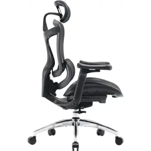 Кресло офисное Sihoo Doro C300L Mesh Black (DORO-C300L-A3-101) UA