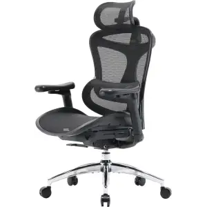Кресло офисное Sihoo Doro C300L Mesh Black (DORO-C300L-A3-101) UA