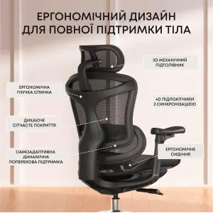 Кресло офисное Sihoo Doro C300L Mesh Black (DORO-C300L-A3-101) UA