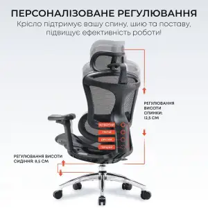 Кресло офисное Sihoo Doro C300L Mesh Black (DORO-C300L-A3-101) UA