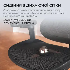 Кресло офисное Sihoo Doro C300L Mesh Black (DORO-C300L-A3-101) UA