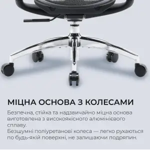 Кресло офисное Sihoo Doro C300L Mesh Black (DORO-C300L-A3-101) UA