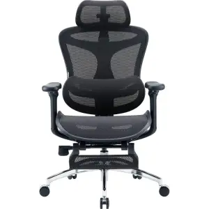 Кресло офисное Sihoo Doro C300L Mesh Black with footrest (Doro-C300L-A3-101-JT) UA