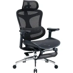 Крісло офісне Sihoo Doro C300L Mesh Black with footrest (Doro-C300L-A3-101-JT) UA
